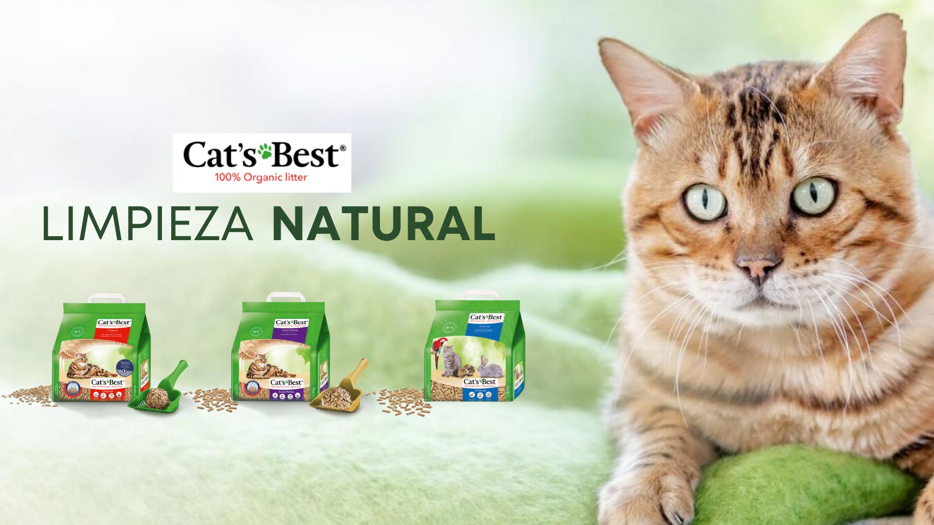 Cats Best - Imagispet